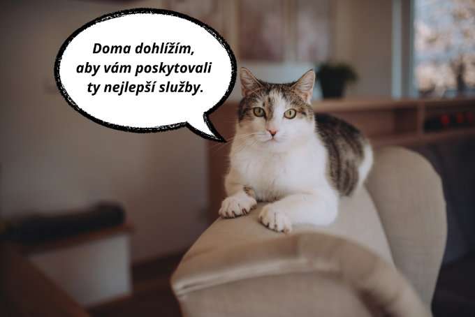 Nejlepší služby